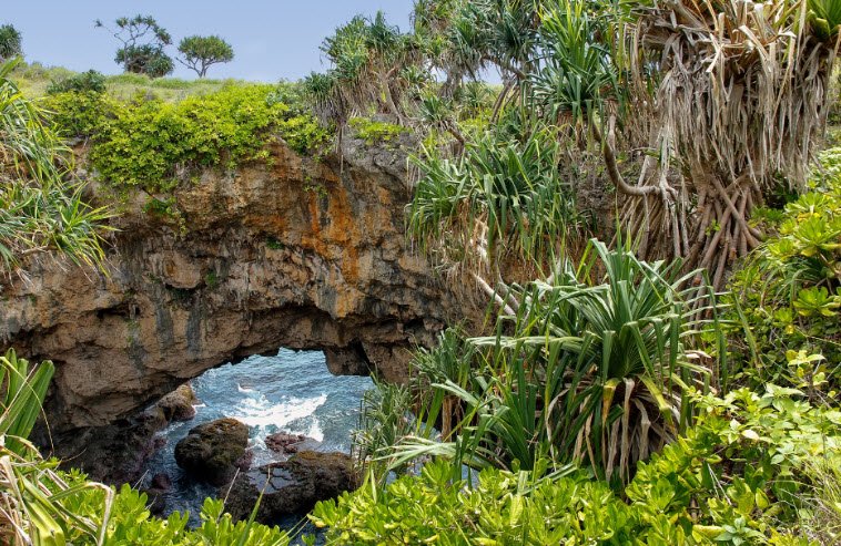 Hufangalupe Natural Bridge, Tongatapu, Tonga